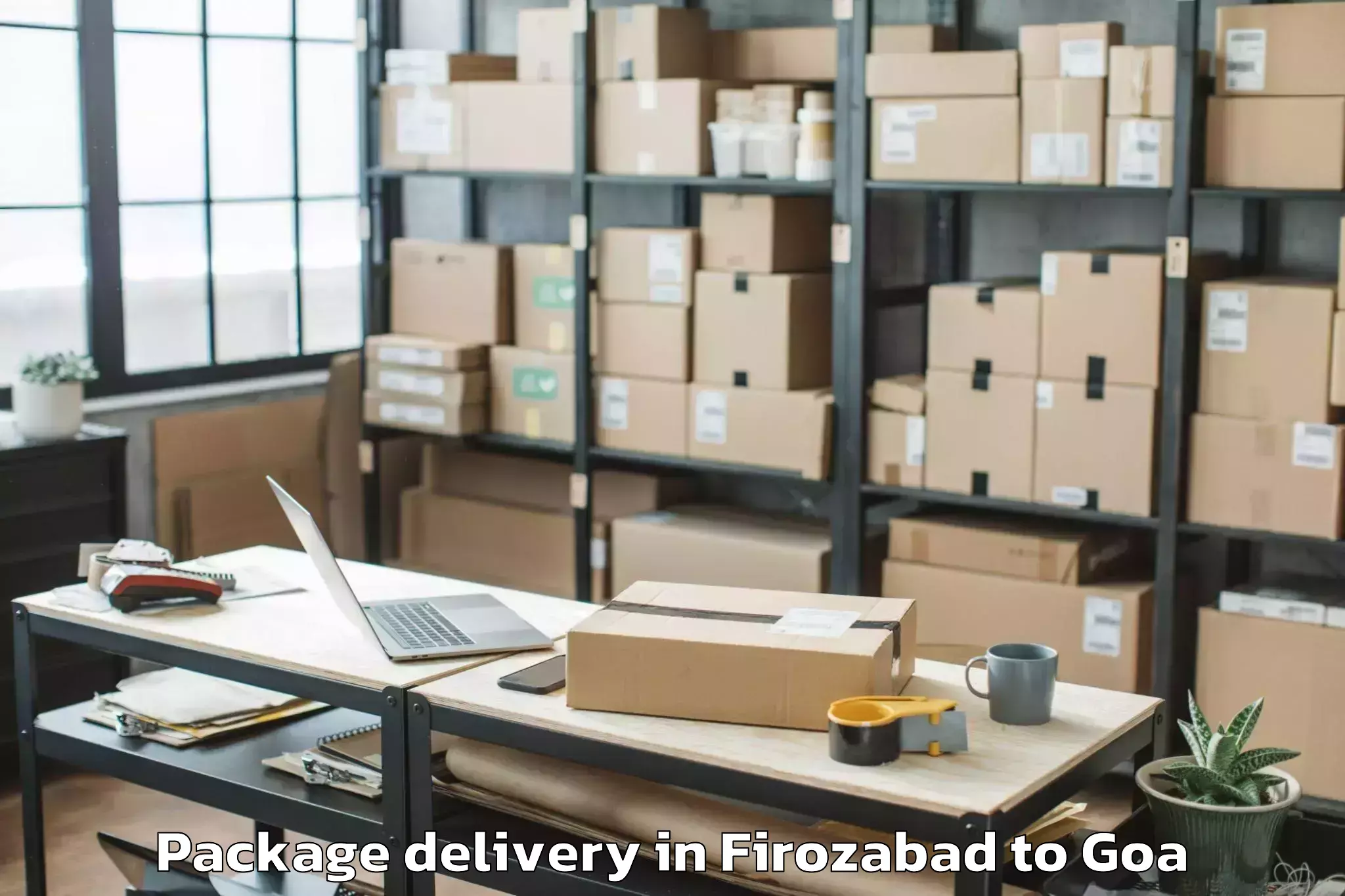 Professional Firozabad to Madgaon Package Delivery